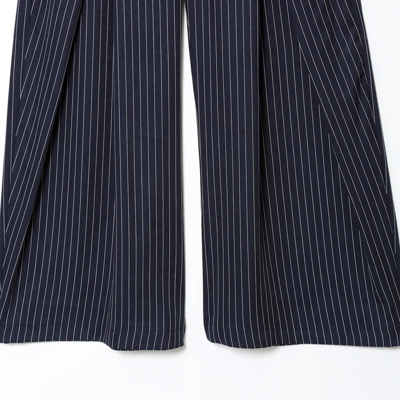 Striped Pleated Pants Baggy Wide Leg High Waist Pants